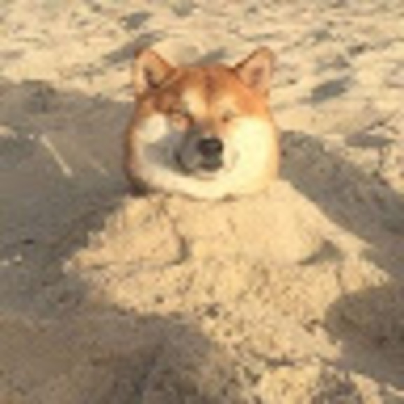 Meet your Posher, Stephanie - Picture 1 of 1